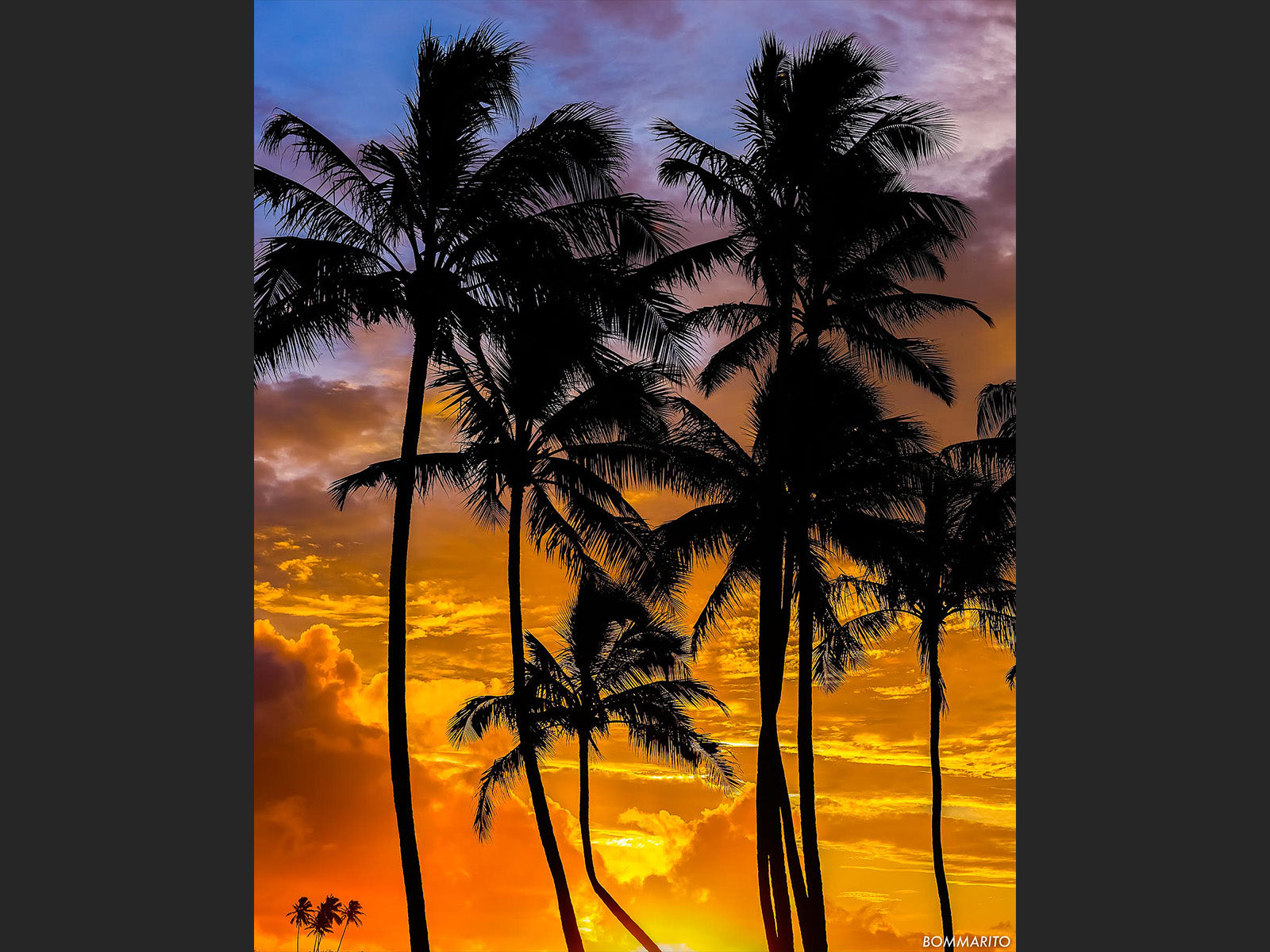 Hawaiian Sunrise
