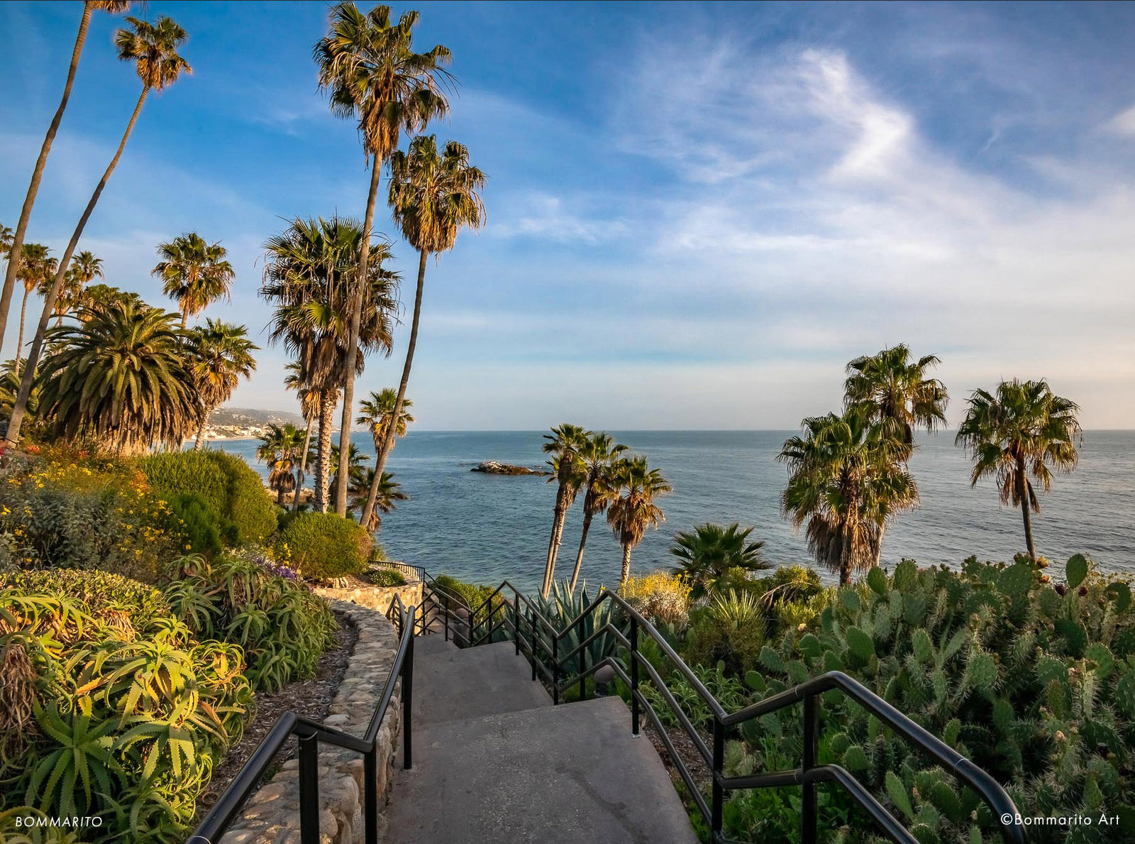 Heisler Park Palm Trees
