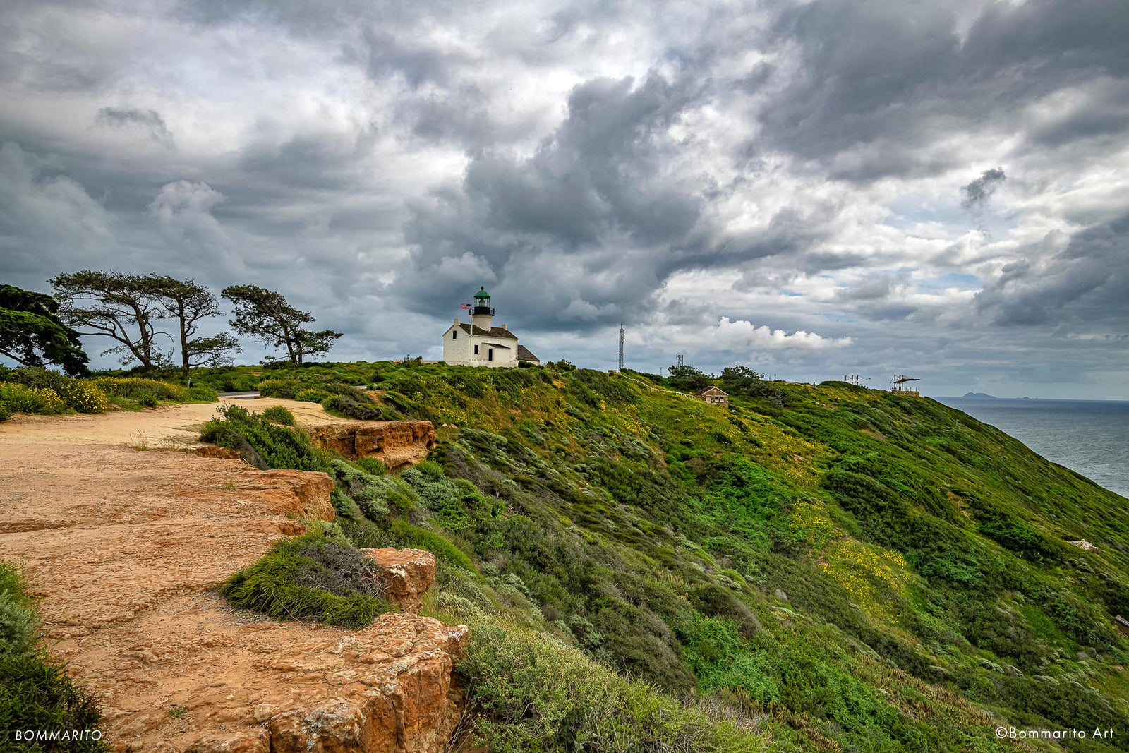 Hillside Flowers at Cabrillo National Monument