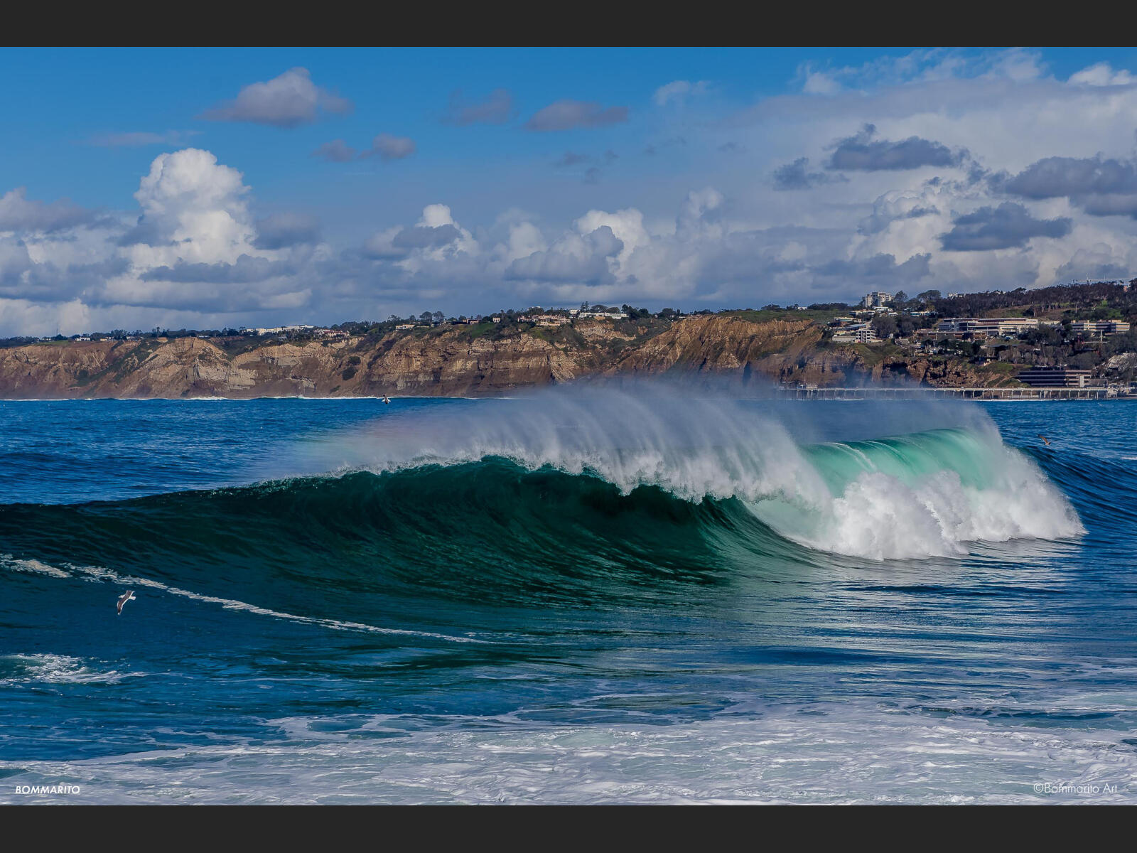 La Jolla Cove Swell