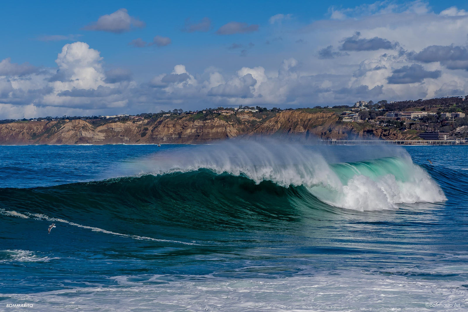 La Jolla Cove Swell