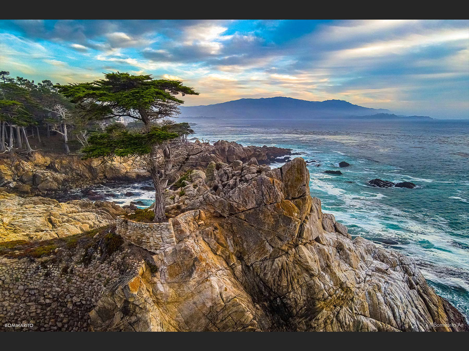 Lone Cypress