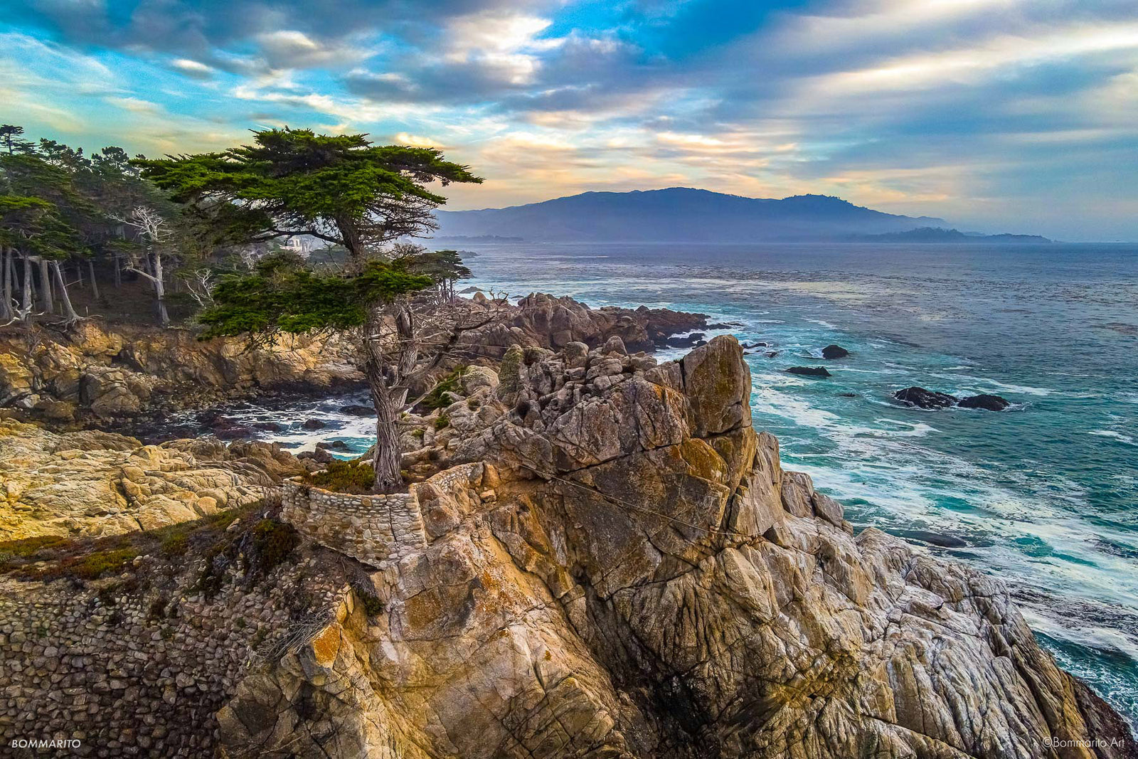 Lone Cypress
