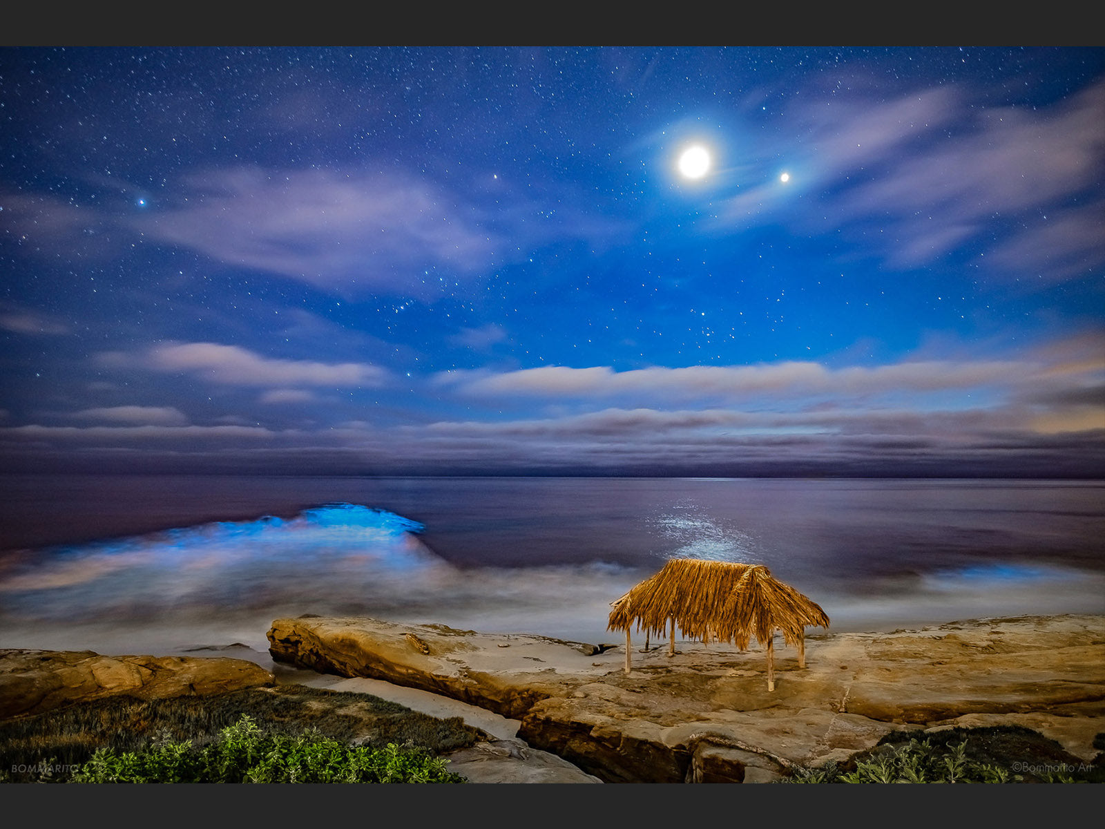 Moonlight Bioluminescence