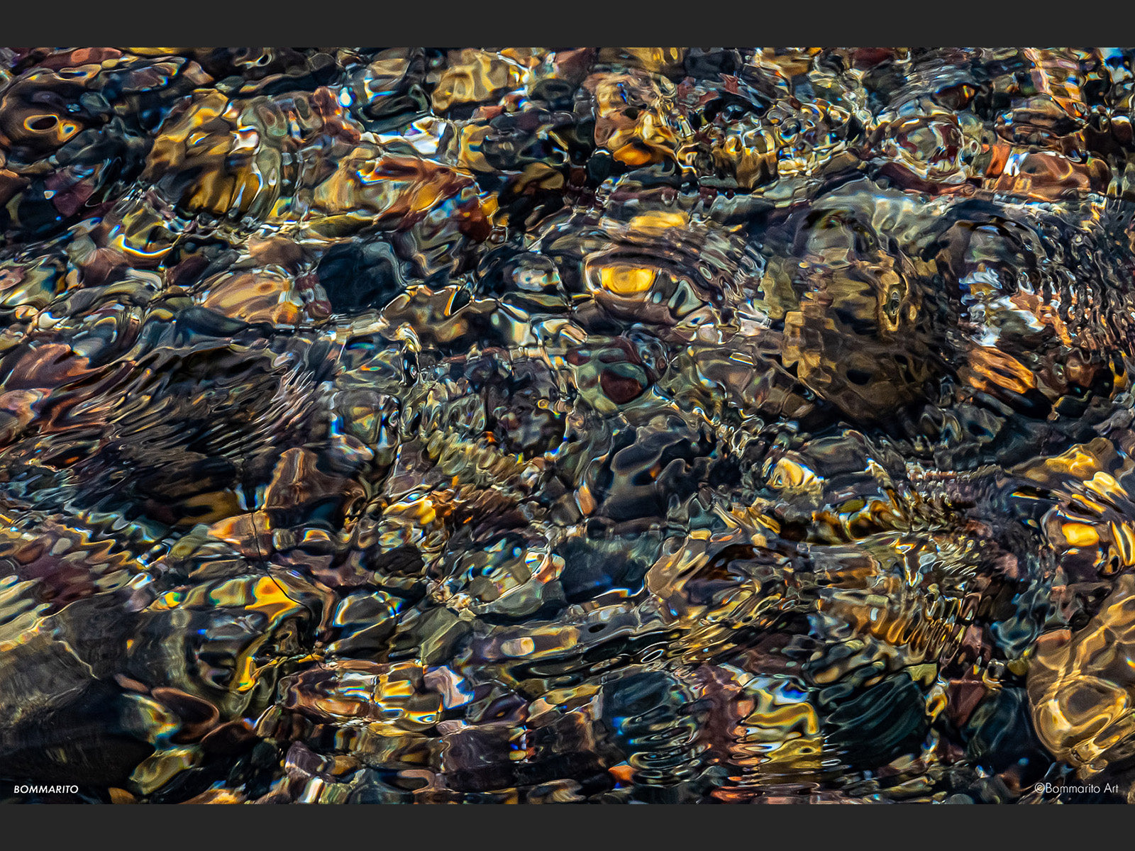 Mosaic Reef