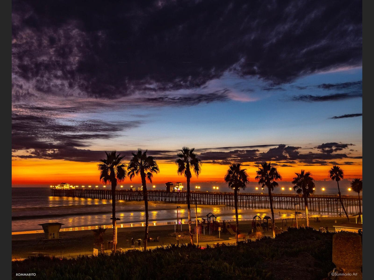 Oceanside Palms
