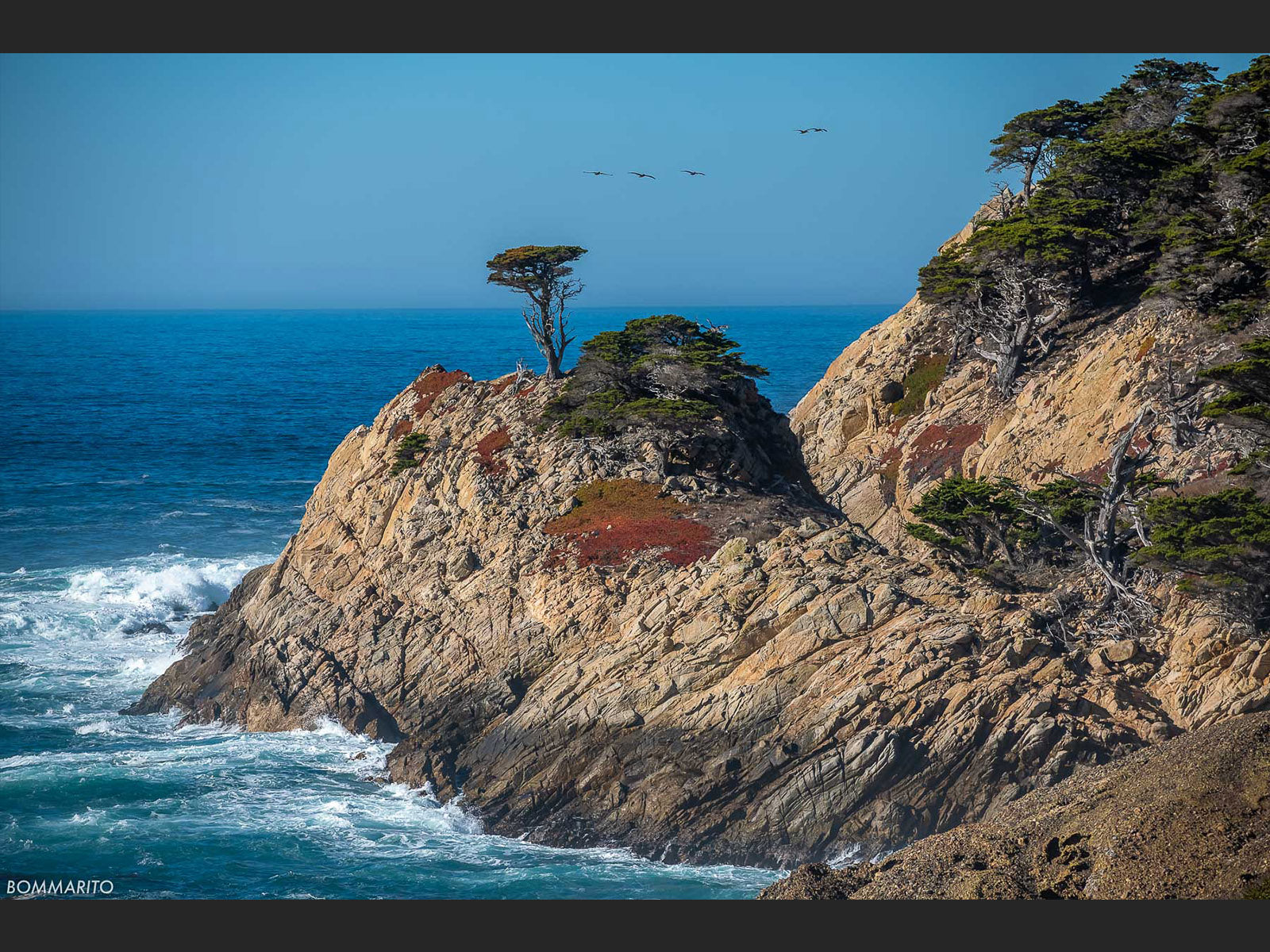Point Lobos Natural Reserve