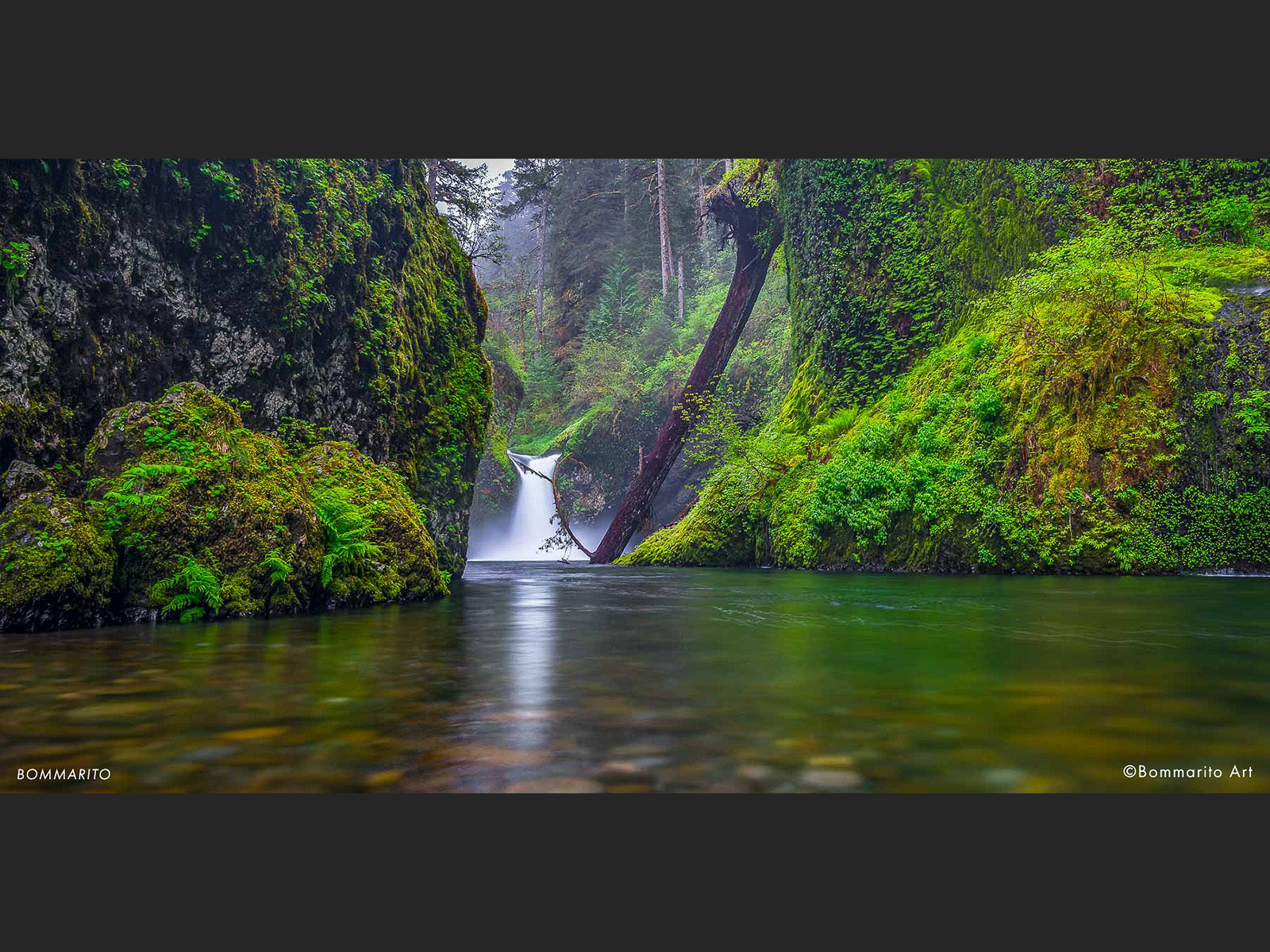 Punchbowl Waterfall - Eagle Creek