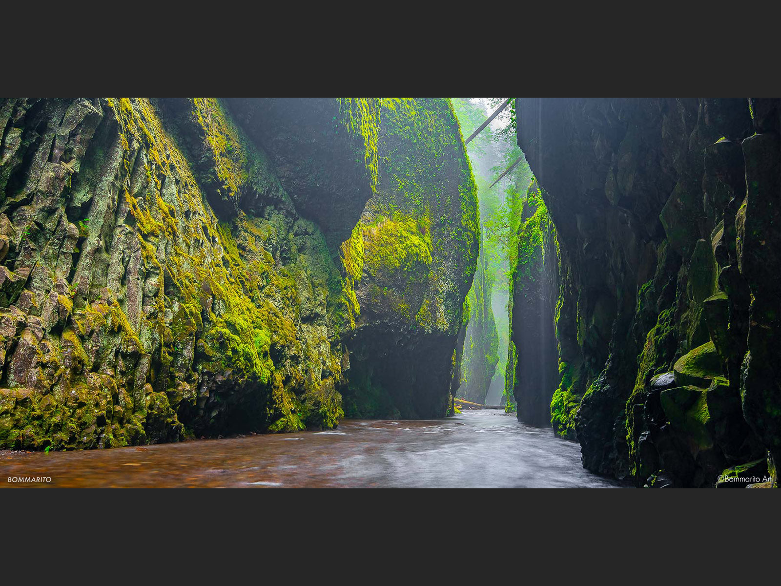 Rainforest Botanical Gorge