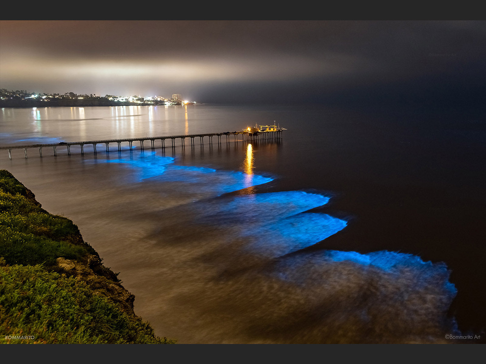 Scripps Bioluminescence
