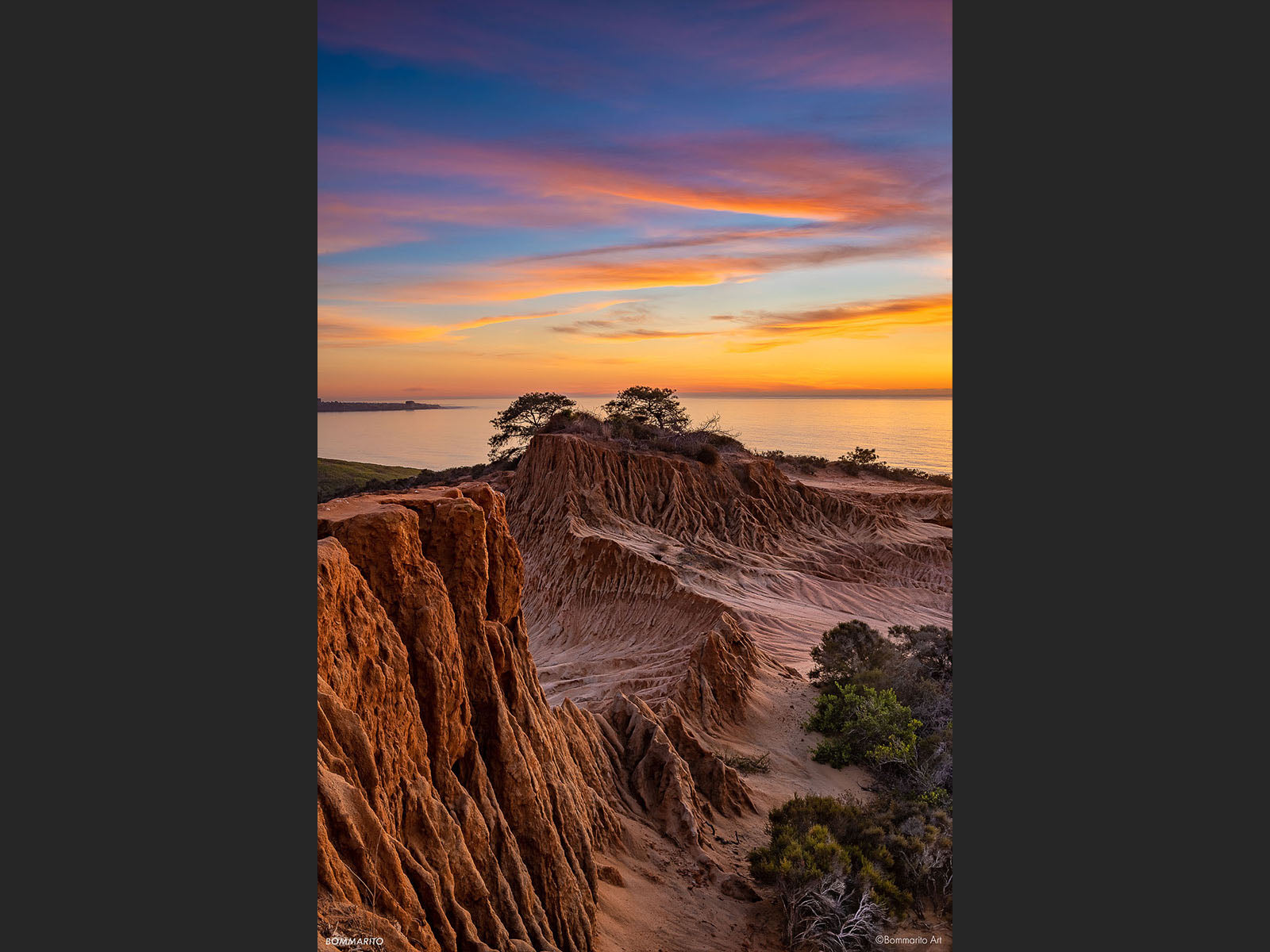 Torrey Natural Reserve