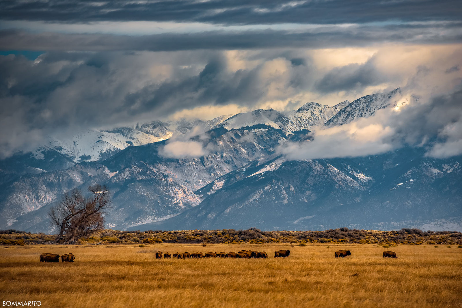 San Luis Valley