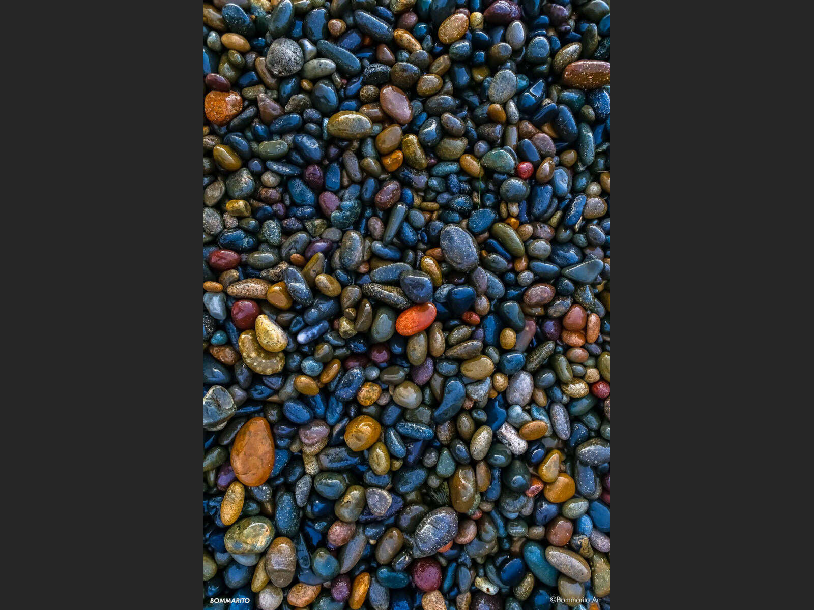 Sea Stones
