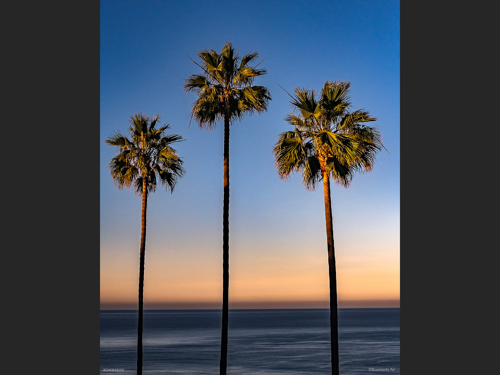 Sunrise Palms