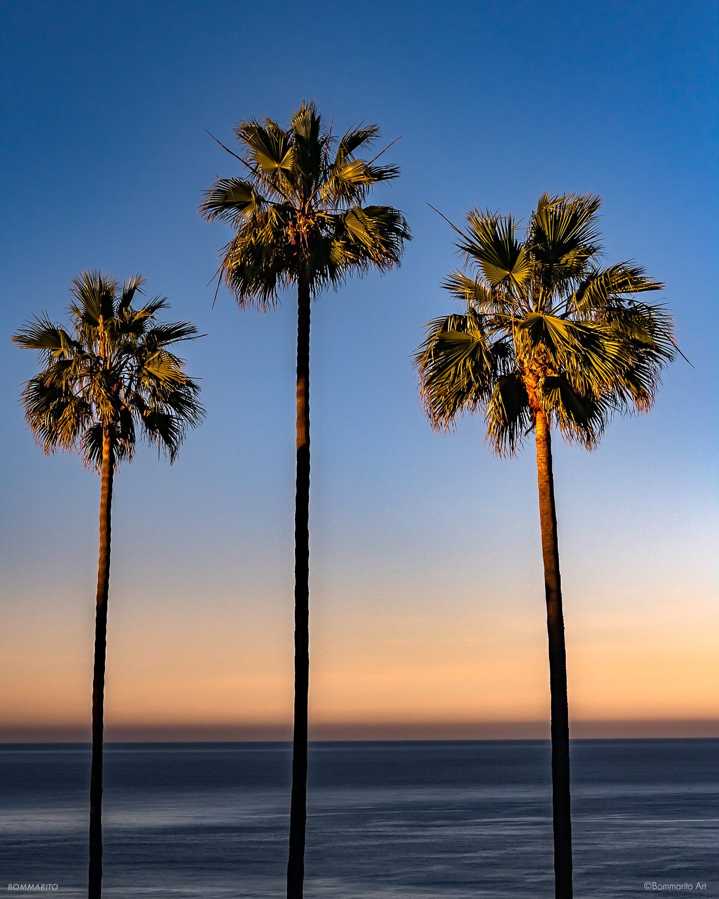 Sunrise Palms