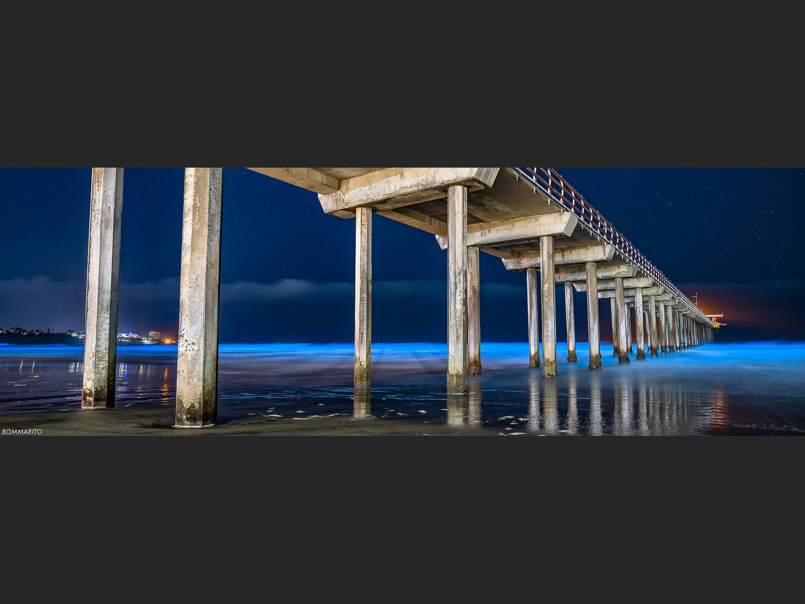 Super Blue Bioluminescence