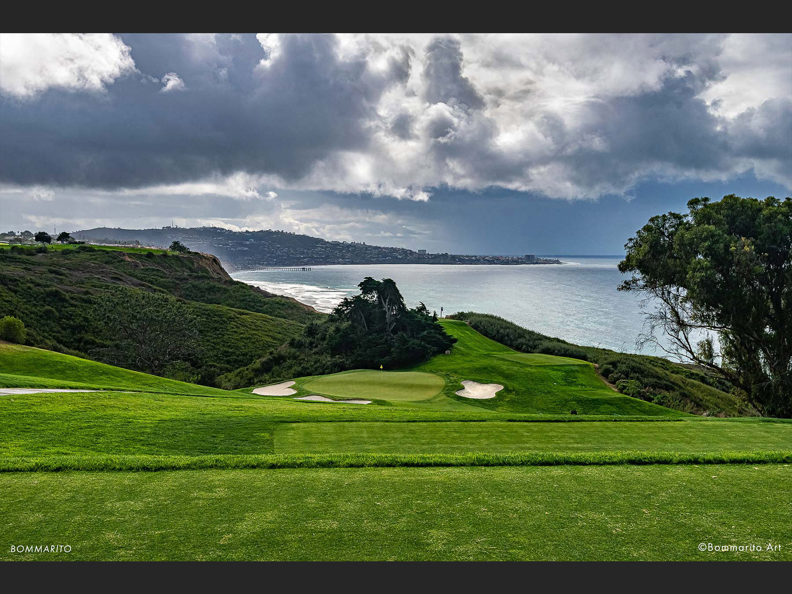 Torrey North #15 - Mid Tier Tees