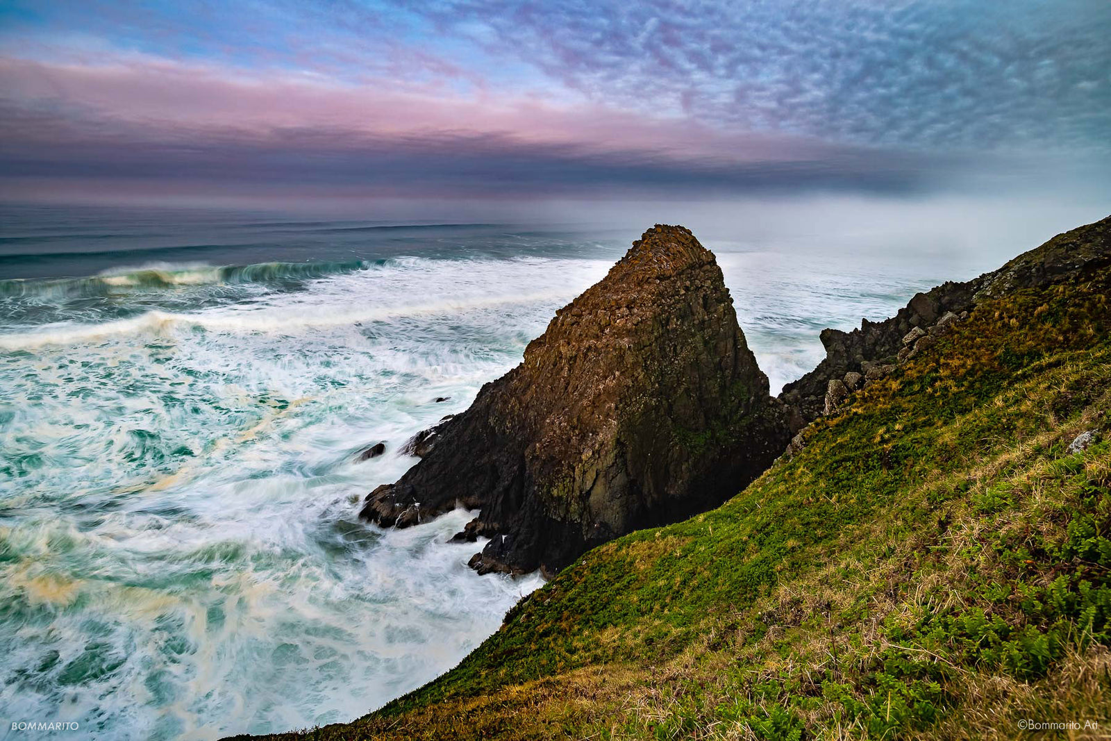 The Wild Coast