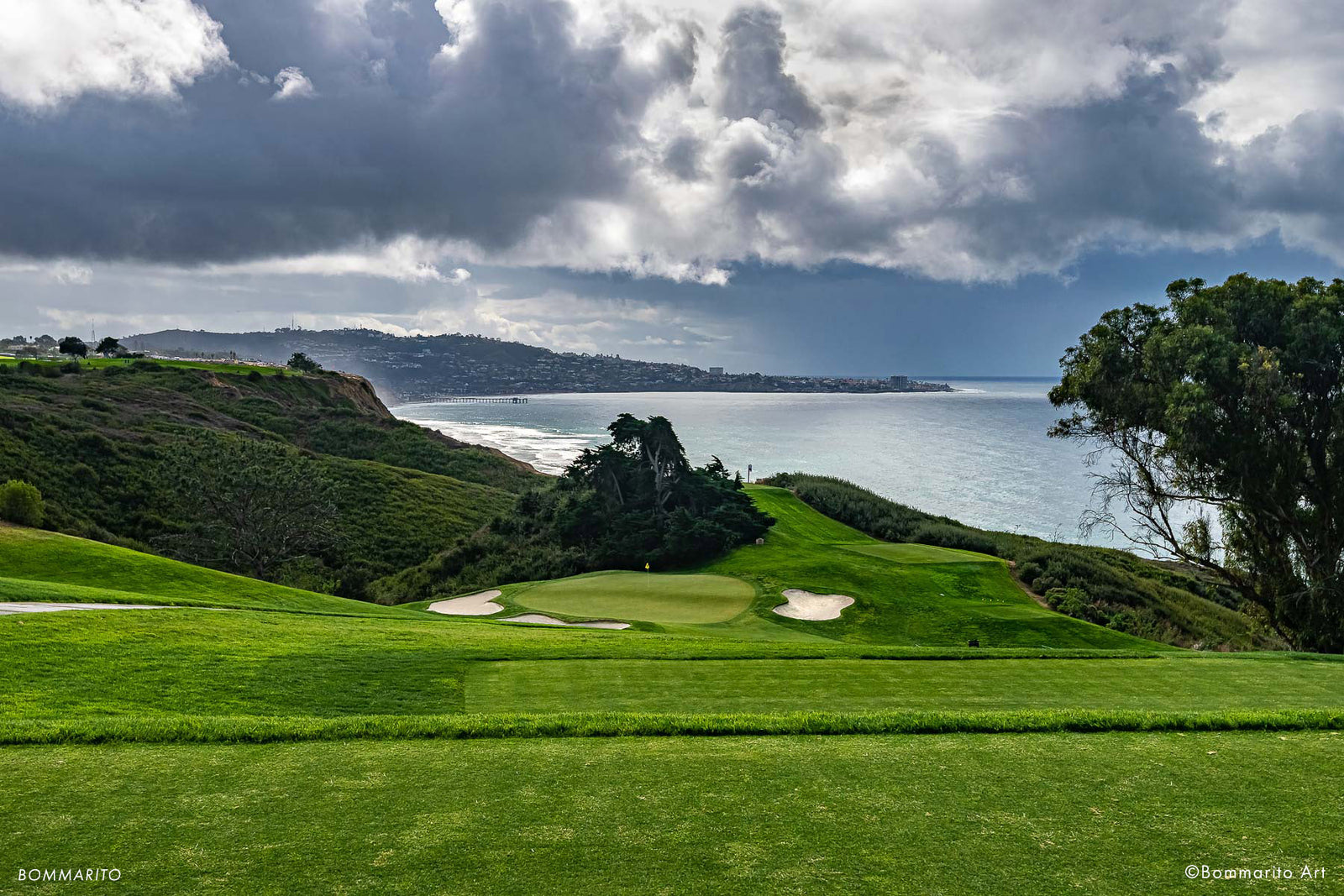 Torrey North #15 - Mid Tier Tees