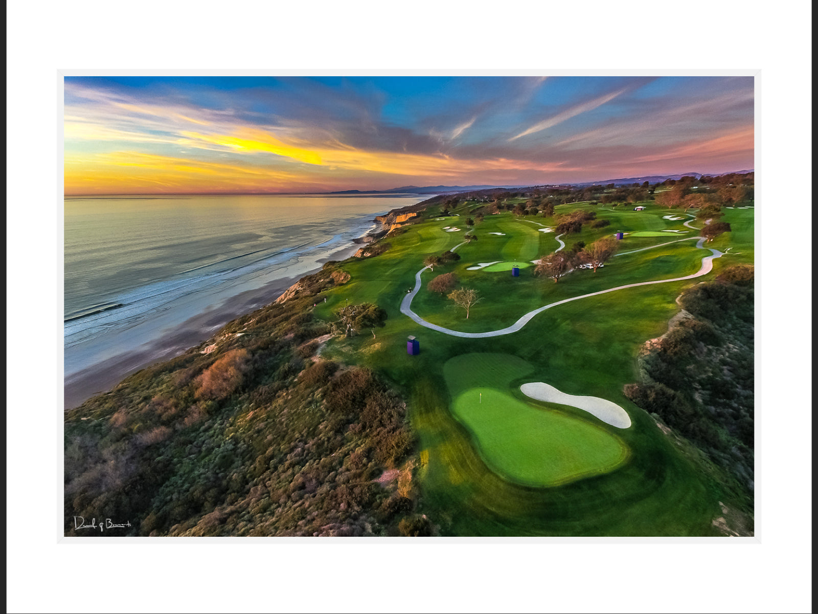 Torrey Pines South