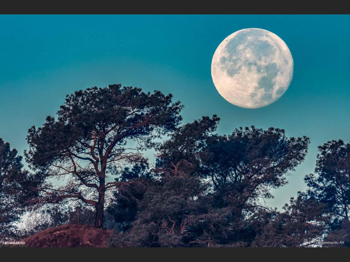 Torrey Pines Supermoon