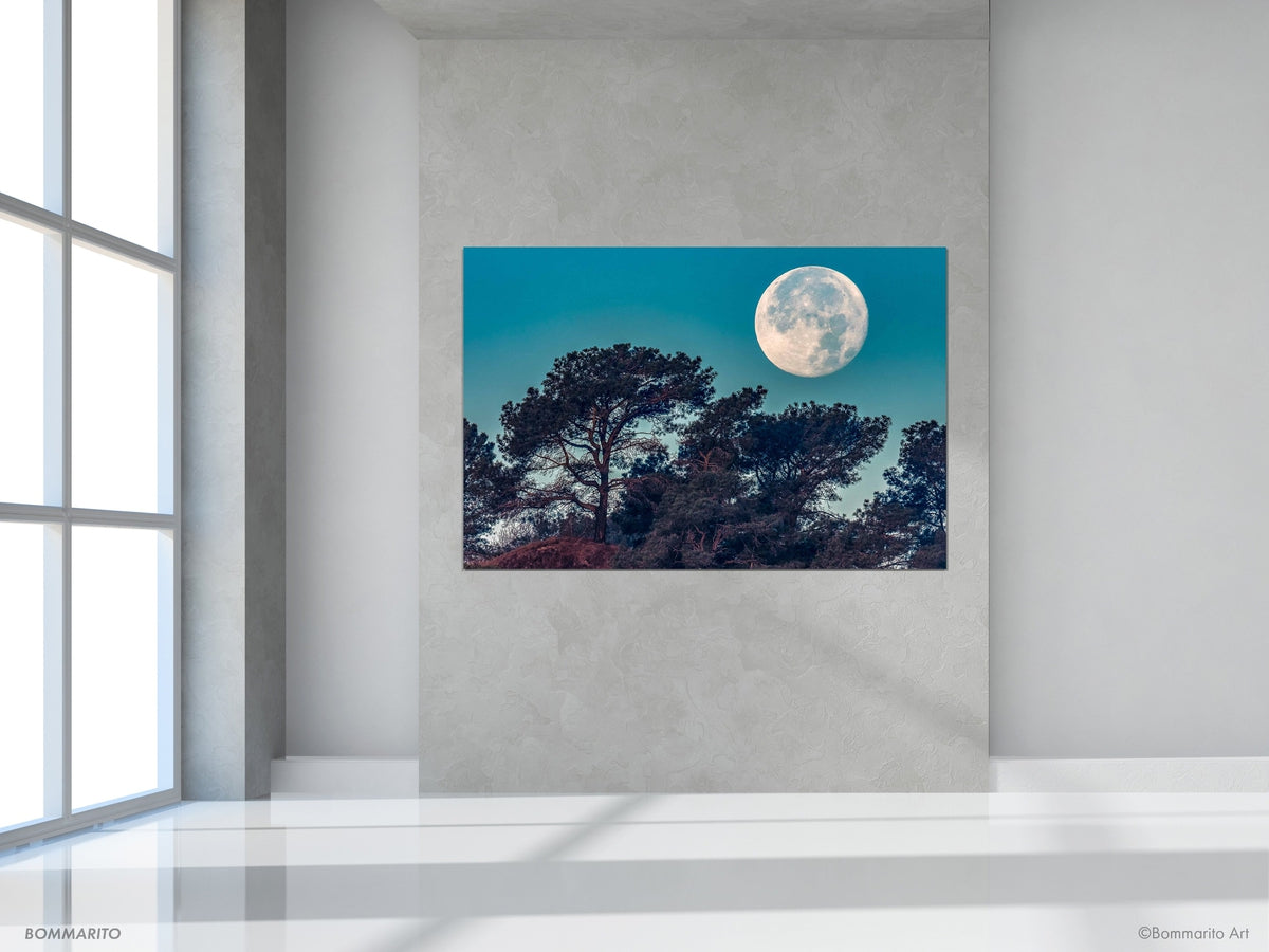 Torrey Pines Supermoon