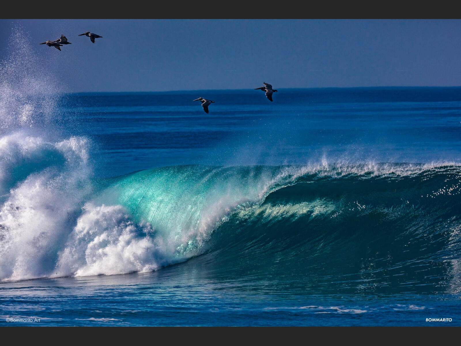 Western Pacific  Swell