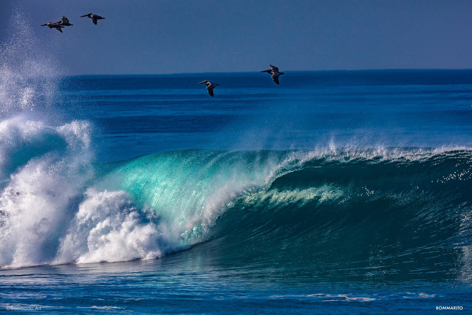 Western Pacific  Swell