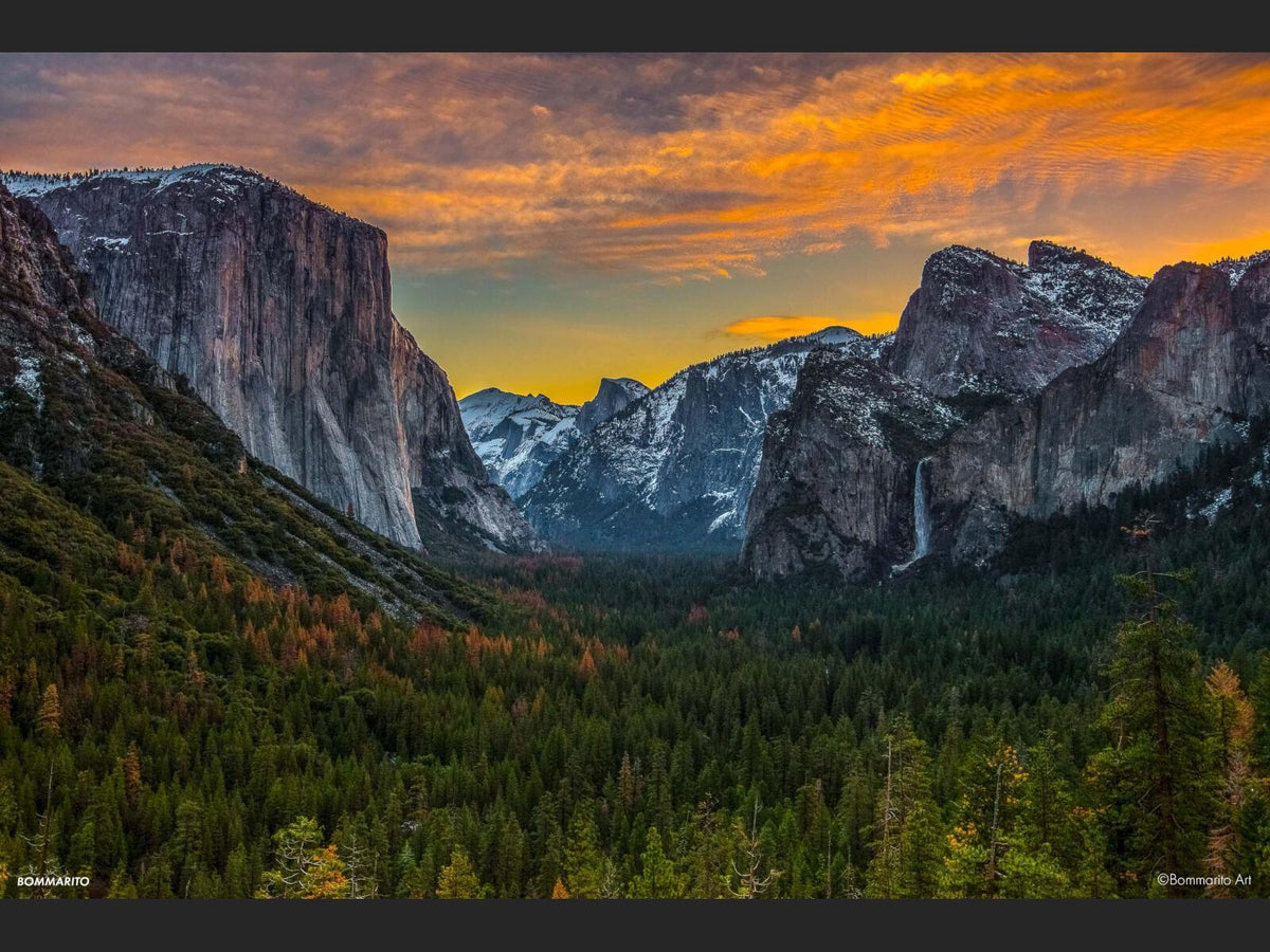 Yosemite Valley View